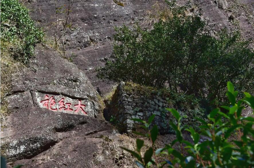 武夷山传统上由厂家精选顶级岩茶拼配而成的商品也称大红袍？