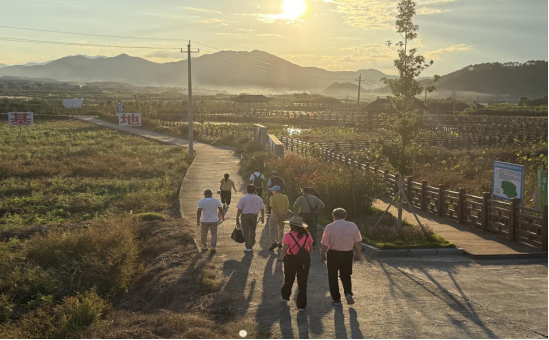 活动期间，嘉宾游览福建建瓯闽台同根茶园